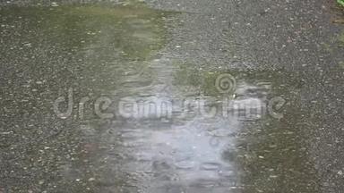 在马祖里诺公园<strong>淋雨</strong>